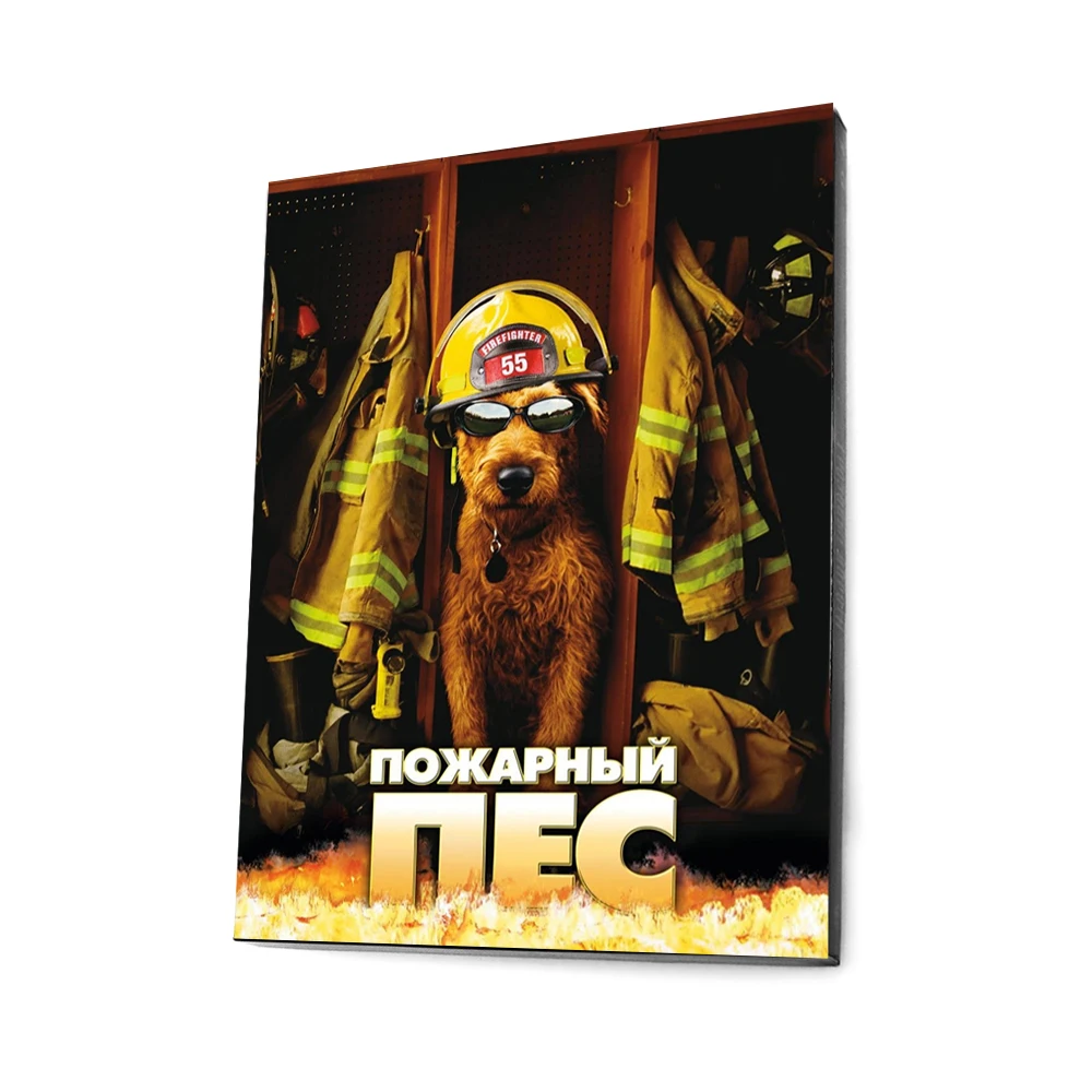 Fire Dog (digipack) –评测与推荐