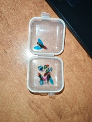 Imagen de reseña 1