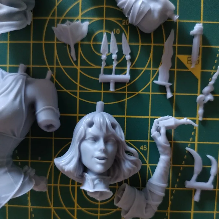 Buyer photo of this resin kit