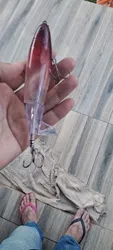 Imagen de reseña 1