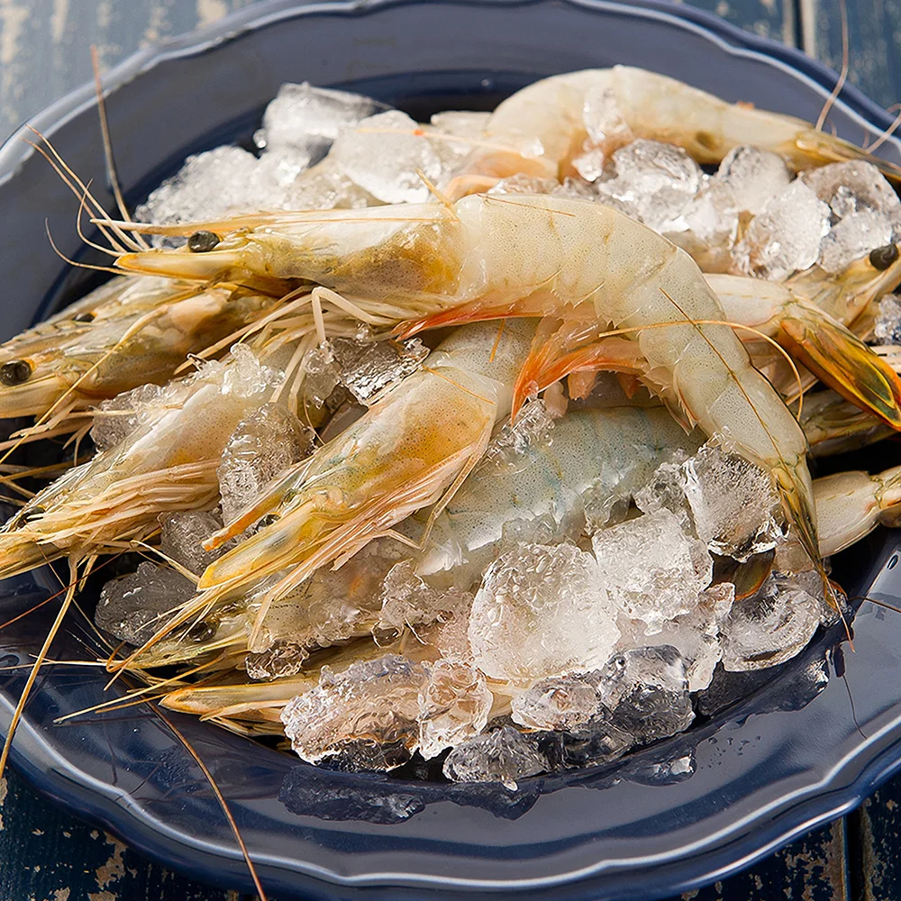 If you go there, 1kg of domestic Shinan White-leg shrimp (around 30-35 mi)