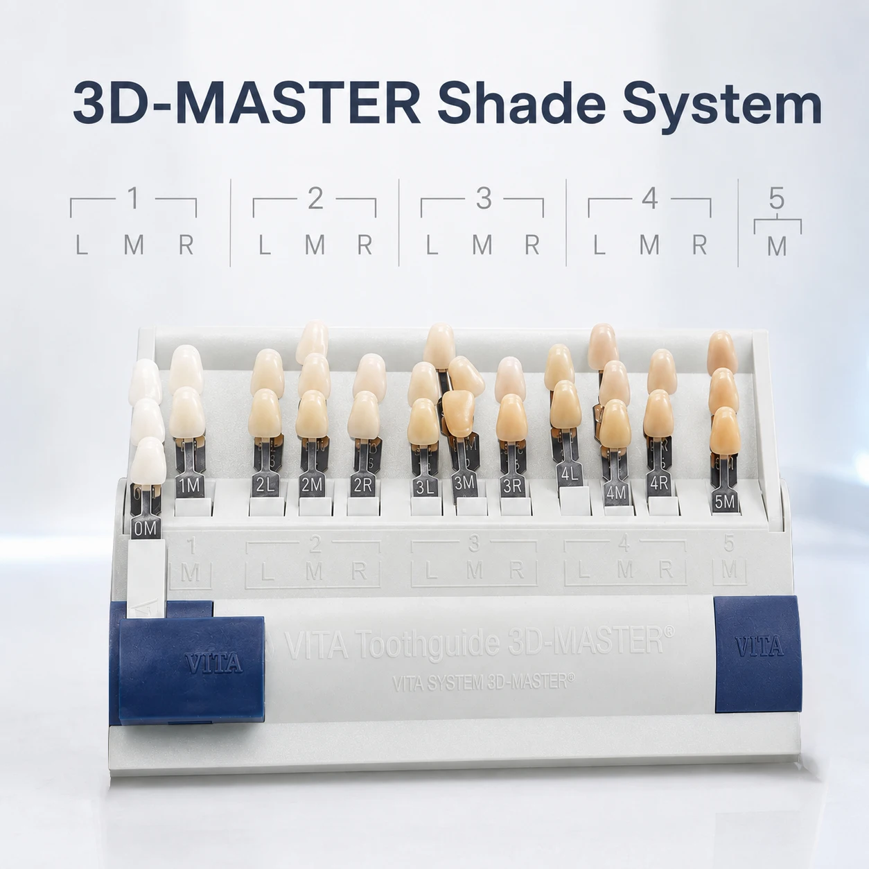 TJDent 29 Colors Dental Shade Guide 3D Master Tooth Color Comparing Resin Model Colorimetric Plate Dentist Lab Toothguide