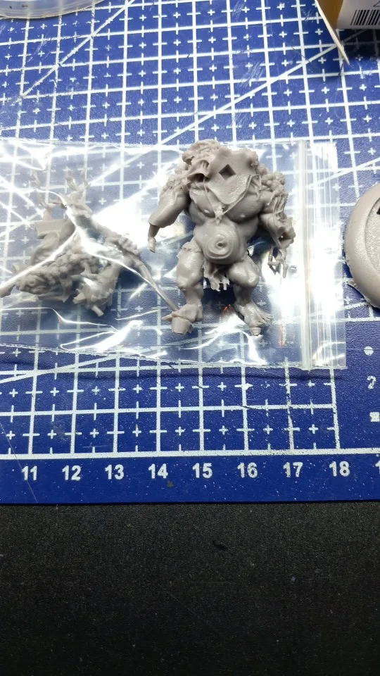 Buyer photo of this resin kit