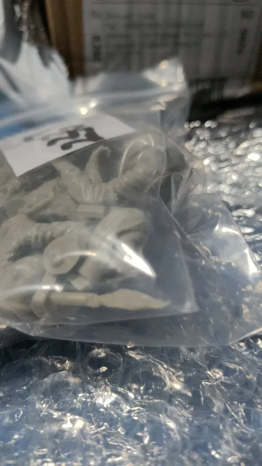 Buyer photo of this resin kit
