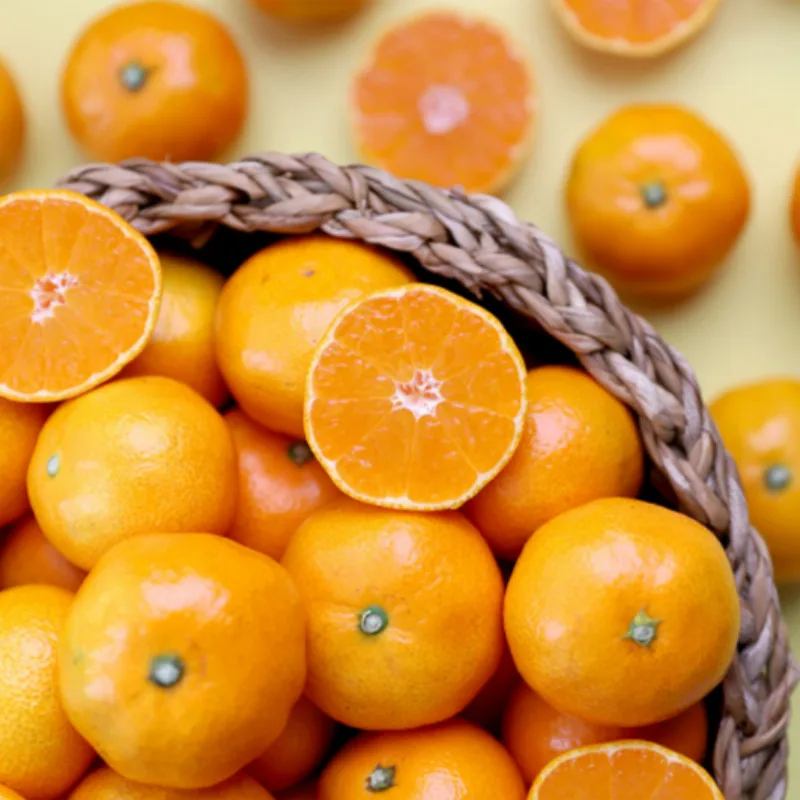 Sweet and sour Jeju-do open-ground citrus tangerine 1kg 2kg 3kg 4.5kg 9kg