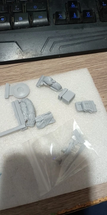 Buyer photo of this resin kit