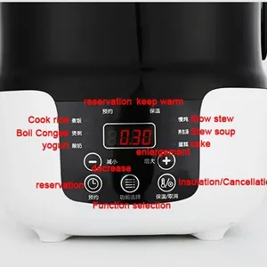 Soba üstü pirinç taşınabilir çift kullanımlı ev araba çift kullanımlı, pot çorba Multicooker, makine pişirmek, yulaf lapası, kamyonlar, buharlı pişirme tenceresi, isıtıcı, 12V, 24V, 220V 12-en çok satan, transfer, endüstriyel yüksek hızlı-no. 9