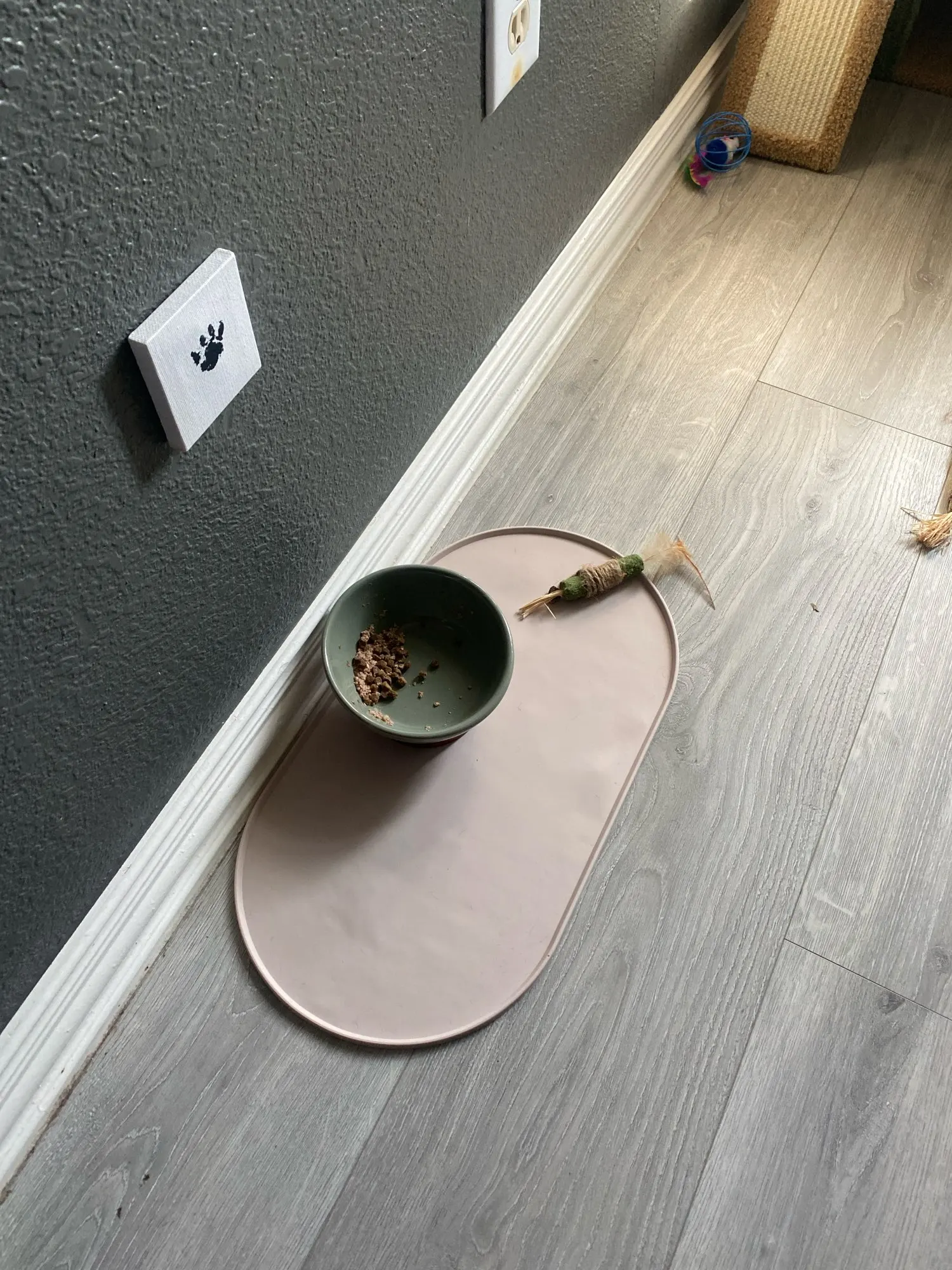 Customer review photo