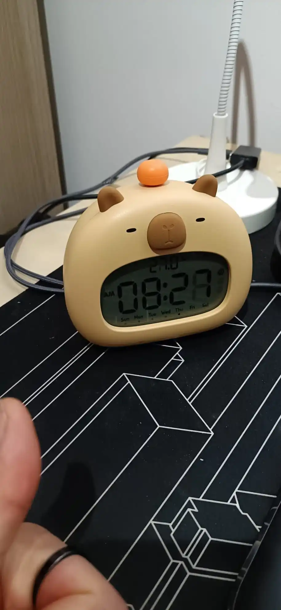 실물 포토 리뷰