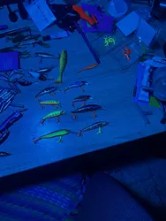 Imagen de reseña 1