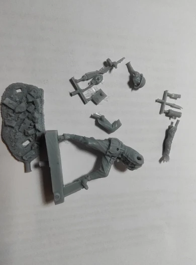 Buyer photo of this resin kit