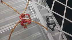 Imagen de reseña 1