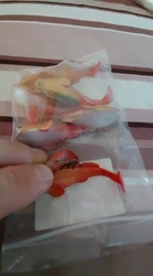Imagen de reseña 4
