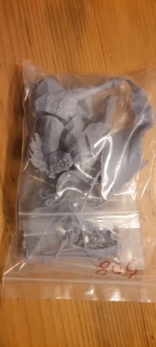 Buyer photo of this resin kit
