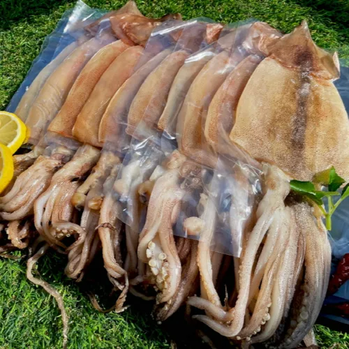 [푸디앤] 반건조오징어 10미 900g-2.4kg / 휴게소 맥주집에서 파는 버터 오징어 피데기 