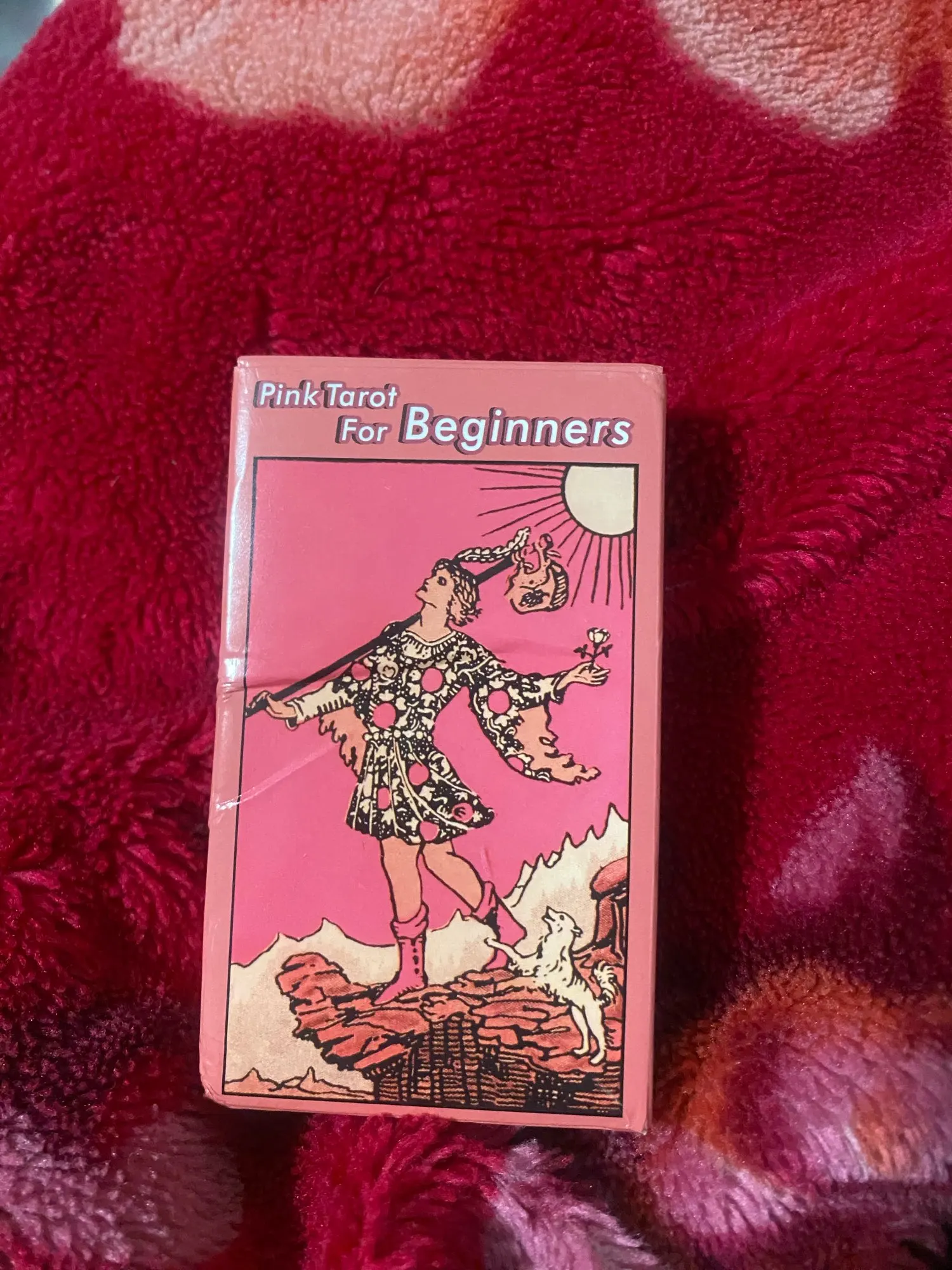 Muted Pink Rider Waite Tarot