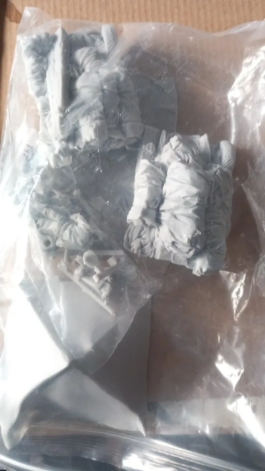 Buyer photo of this resin kit