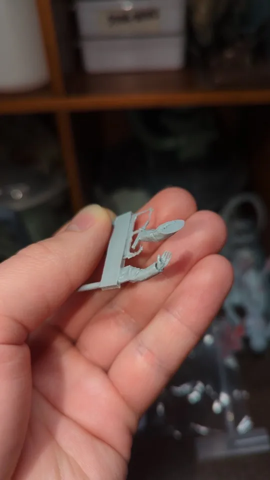 Buyer photo of this resin kit