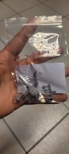 Buyer photo of this resin kit
