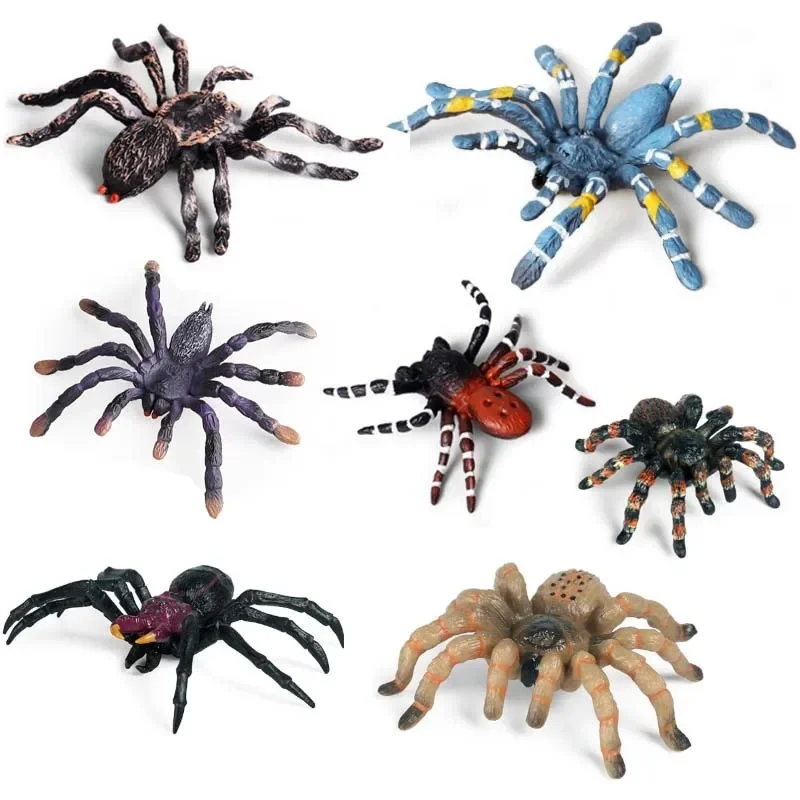 Simulation d'éducation scientifique pour enfants, modèle Animal, jouet délicat, ornement d'insecte, scène de Table de sable, costume d'araignée d'halloween, jouet en plastique