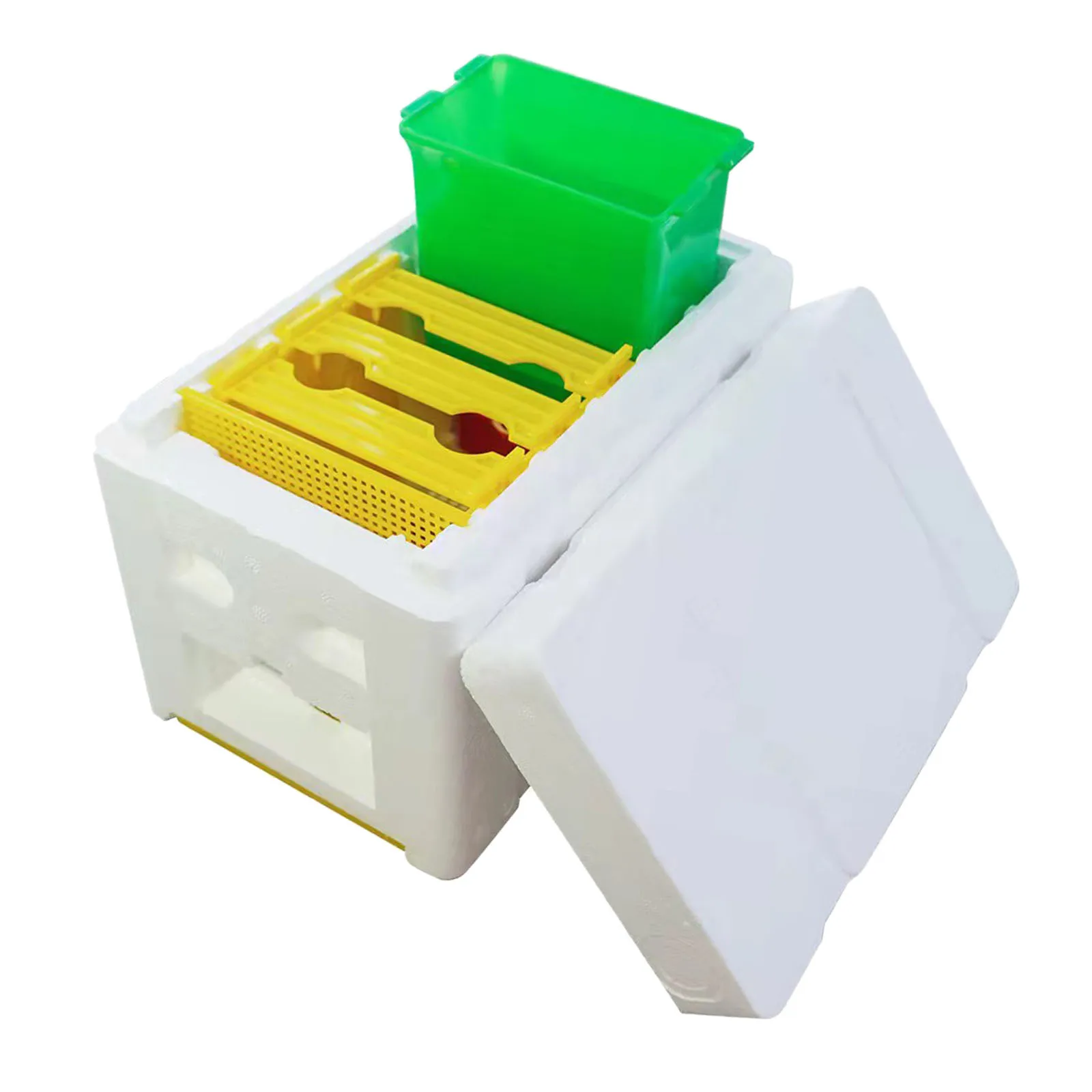 

Beekeeping Queen Breeding Kit Bee Queen Rearing System Essential Bee Equipment Beekeepers Tool for Garden Pollination Case