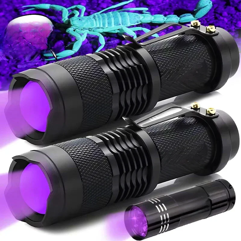 Lampe de poche UV étanche Mini lampes de poche à lumière ultraviolette Zoomable lampes ultraviolettes Scorpion outils de détection de taches d'urine animale