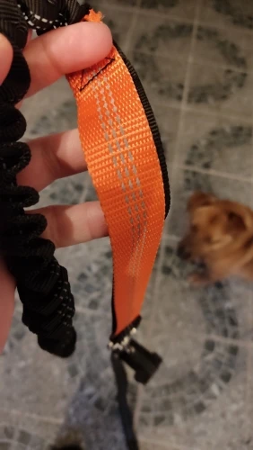 Customer review photo for Hands-Free Bungee Dog Leash with Adjustable Waist Belt