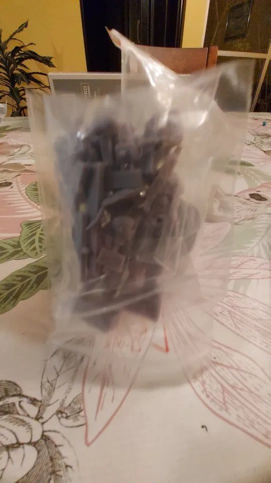 Buyer photo of this resin kit