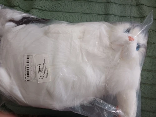 리뷰 사진