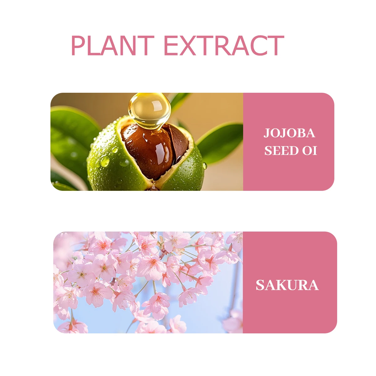 NIVAVIN 30ml/60ml/100ml Cherry Blossom Essential Oil, naturally extracted from plants, with a rich fragrance, suitable for home