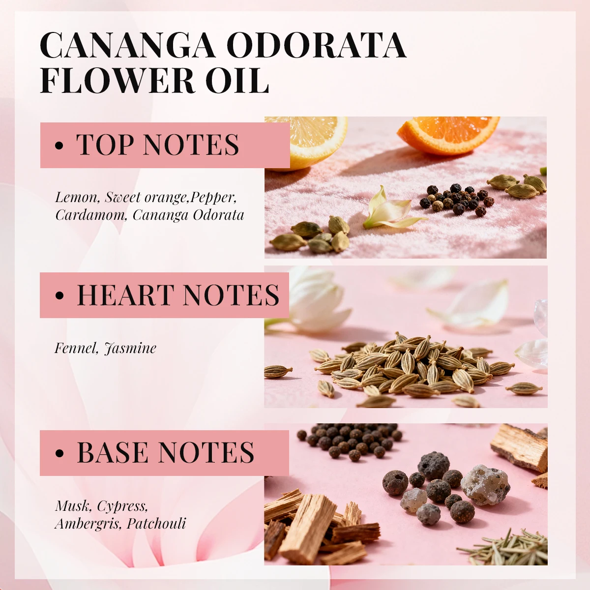 Original perfume, suitable for both men and women, long-lasting fragrance branded perfume 50ml