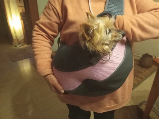 실물 포토 리뷰