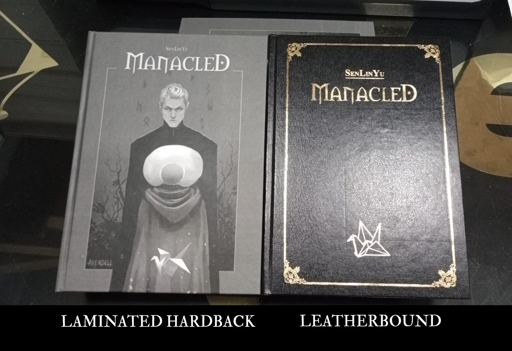 Dramione Manacled Book hardback book Rhysand\'s Pov Draco malfoy Fanfic Leatherbound Laminated