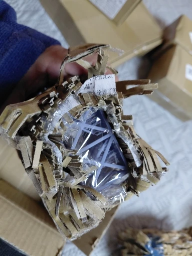 Buyer photo of this resin kit