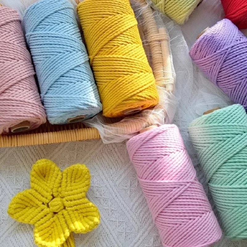 Cordons en macramé 2MM 100M, cordes colorées, fil de macramé, cordon tressé, décoration murale faite à la main, style bohème, pour mariage, fête, décoration de la maison CS002