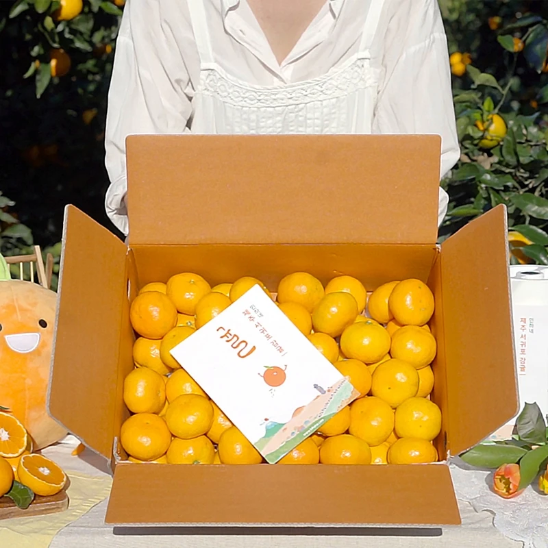 [InHane] Jeju NoJi Citrus 3kg, 5kg, 10kg Sweet and sour seasonal fruit citrus tangerine