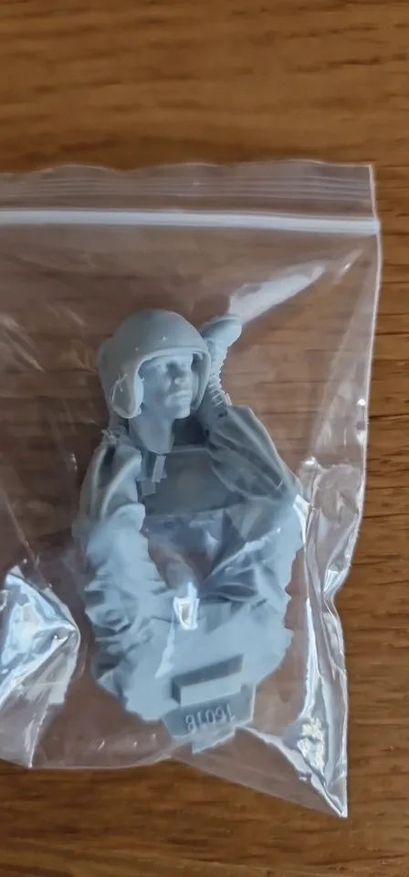 Buyer photo of this resin kit