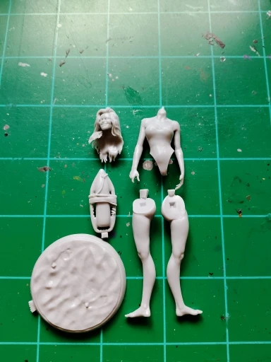 Buyer photo of this resin kit