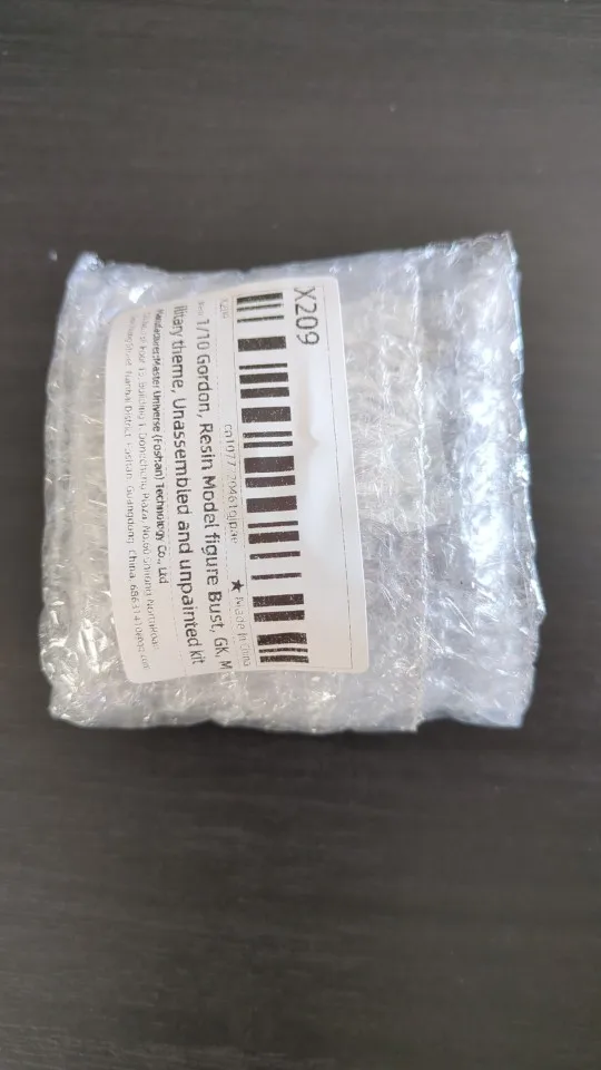 Buyer photo of this resin kit
