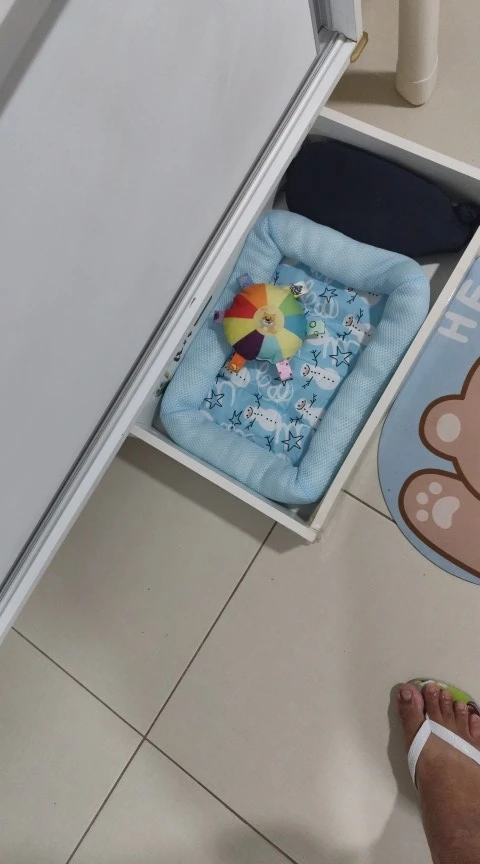 실물 포토 리뷰