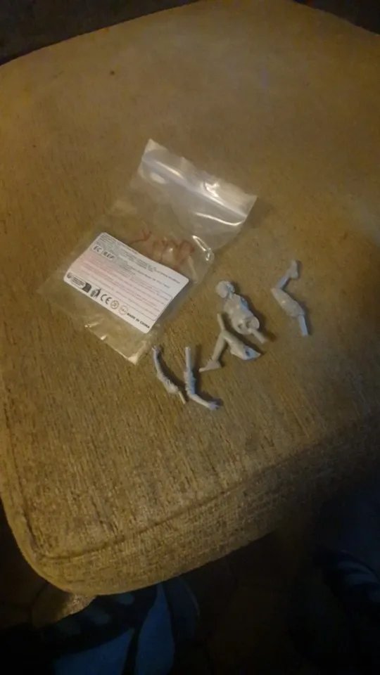 Buyer photo of this resin kit