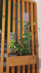 Imagen de reseña 1