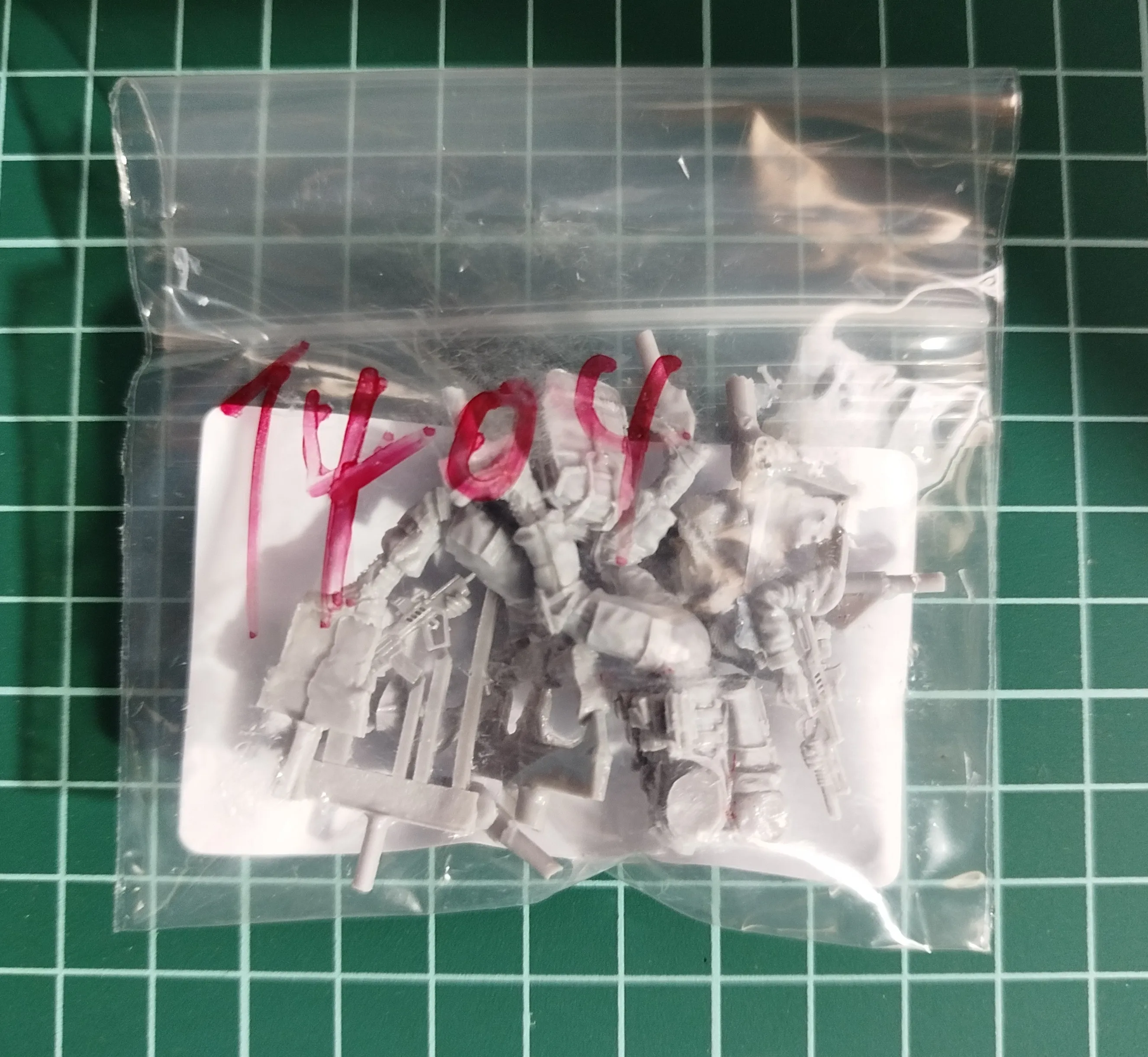 Buyer photo of this resin kit