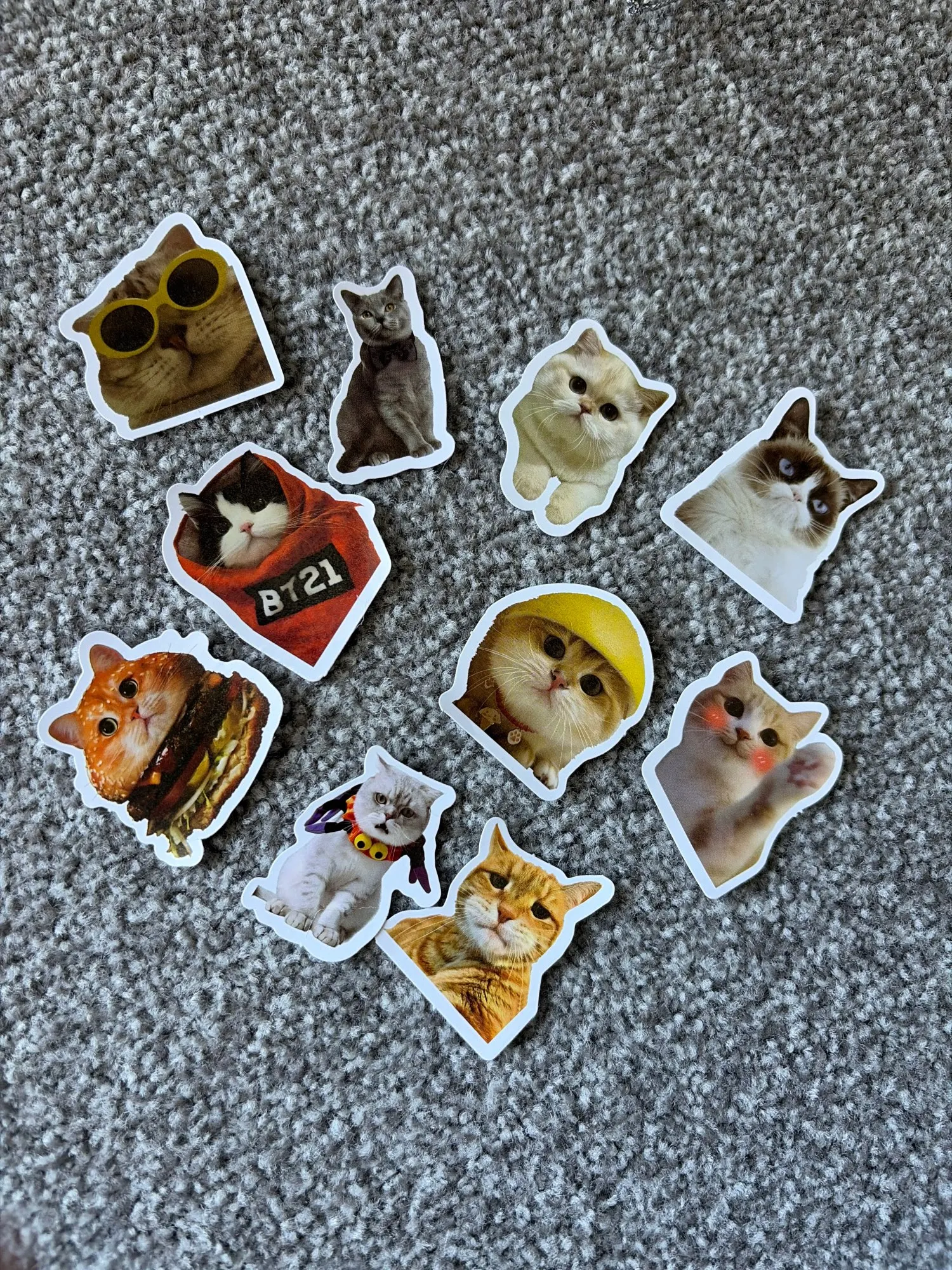 Customer review photo