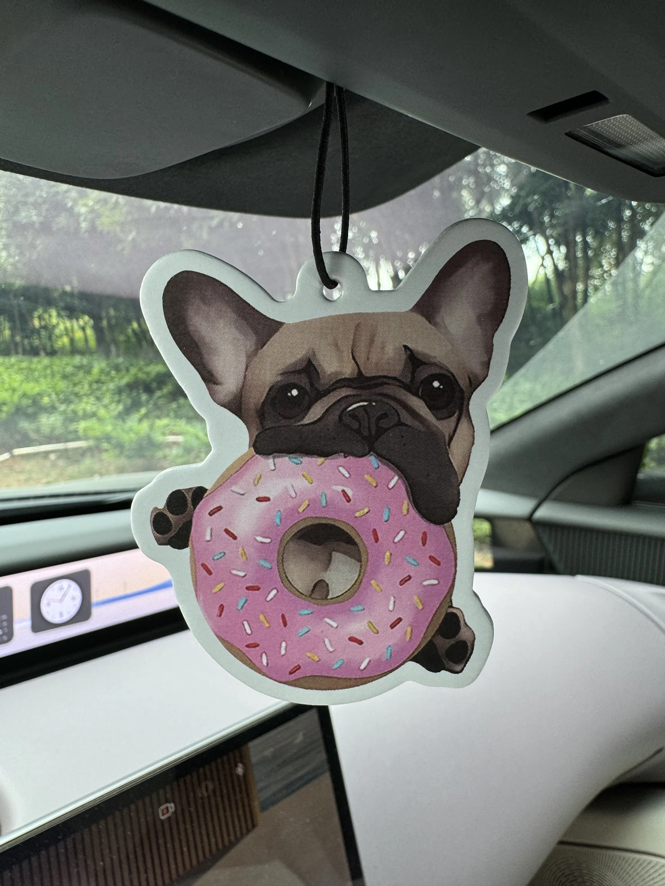 French Bulldog Lovers, Sweet Frenchie with Pink Donuts \