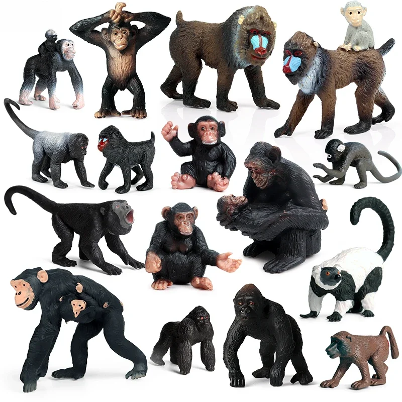 Oenux Original animaux sauvages figurines singe chimpanzé orang-outan Golden Gibbon modèle PVC Miniature enfants jouets éducatifs