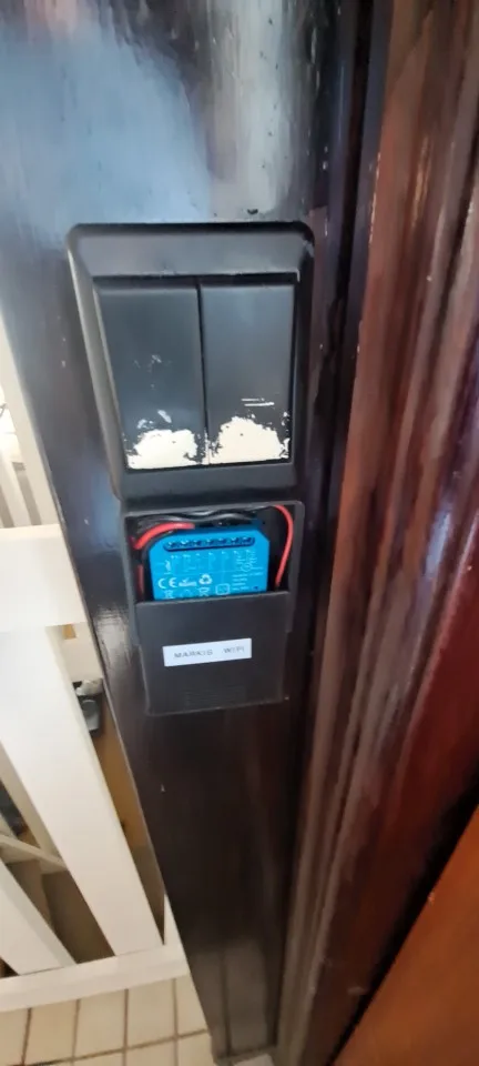 실물 포토 리뷰