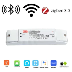 Smart Light Device CCT dimmerabile 12V 24V LED Strip Controller Zigbee/ Bluetooth Mesh accessori per l'illuminazione Wireless controllo vocale