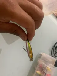 Imagen de reseña 5
