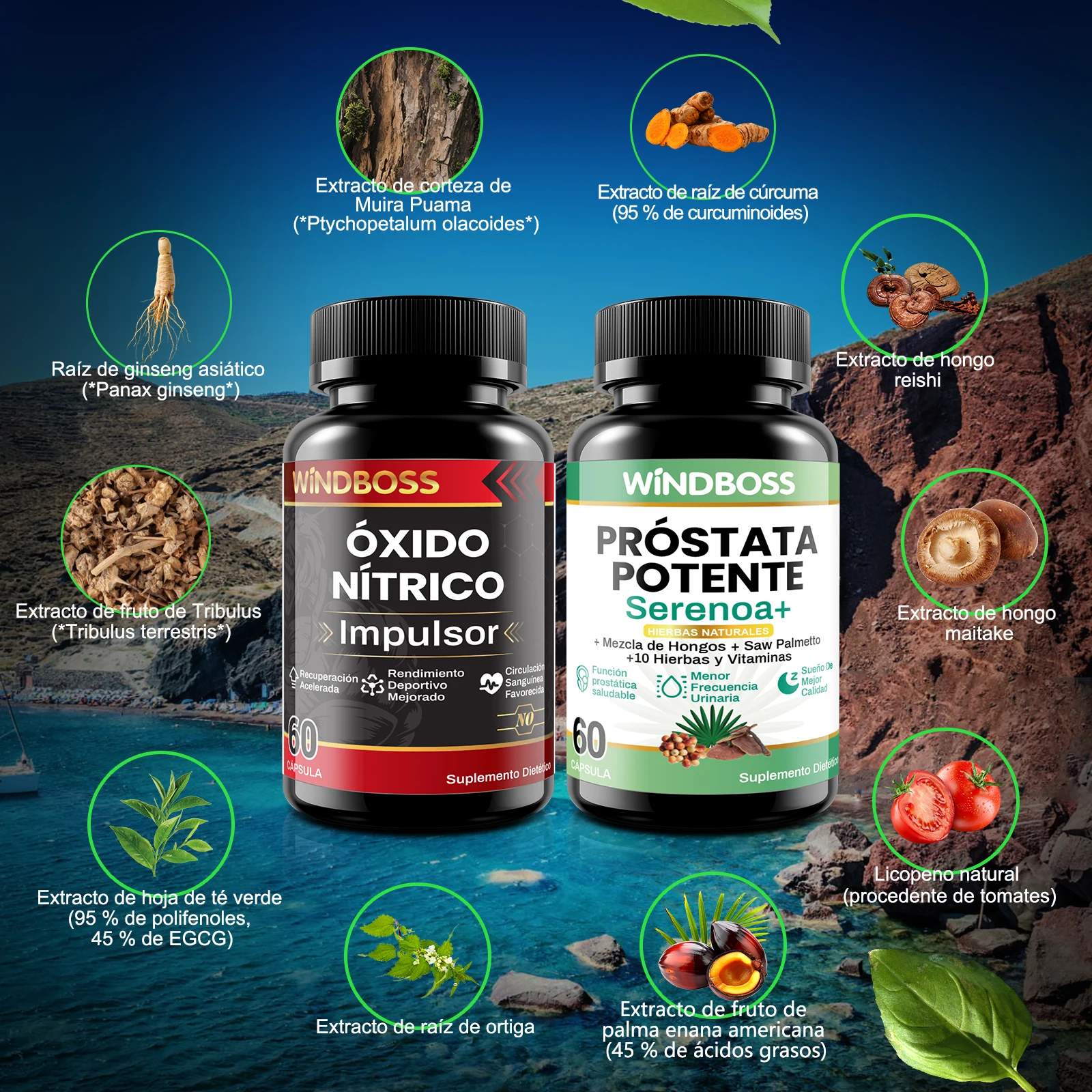 مكمل Windboss للرجال - دعم البروستاتا والدورة الدموية - مستخلصات طبيعية، الأحماض الأمينية، المعادن - Saw Palmetto، L-Arginine، Maca، Zinc - عبوة من زجاجتين